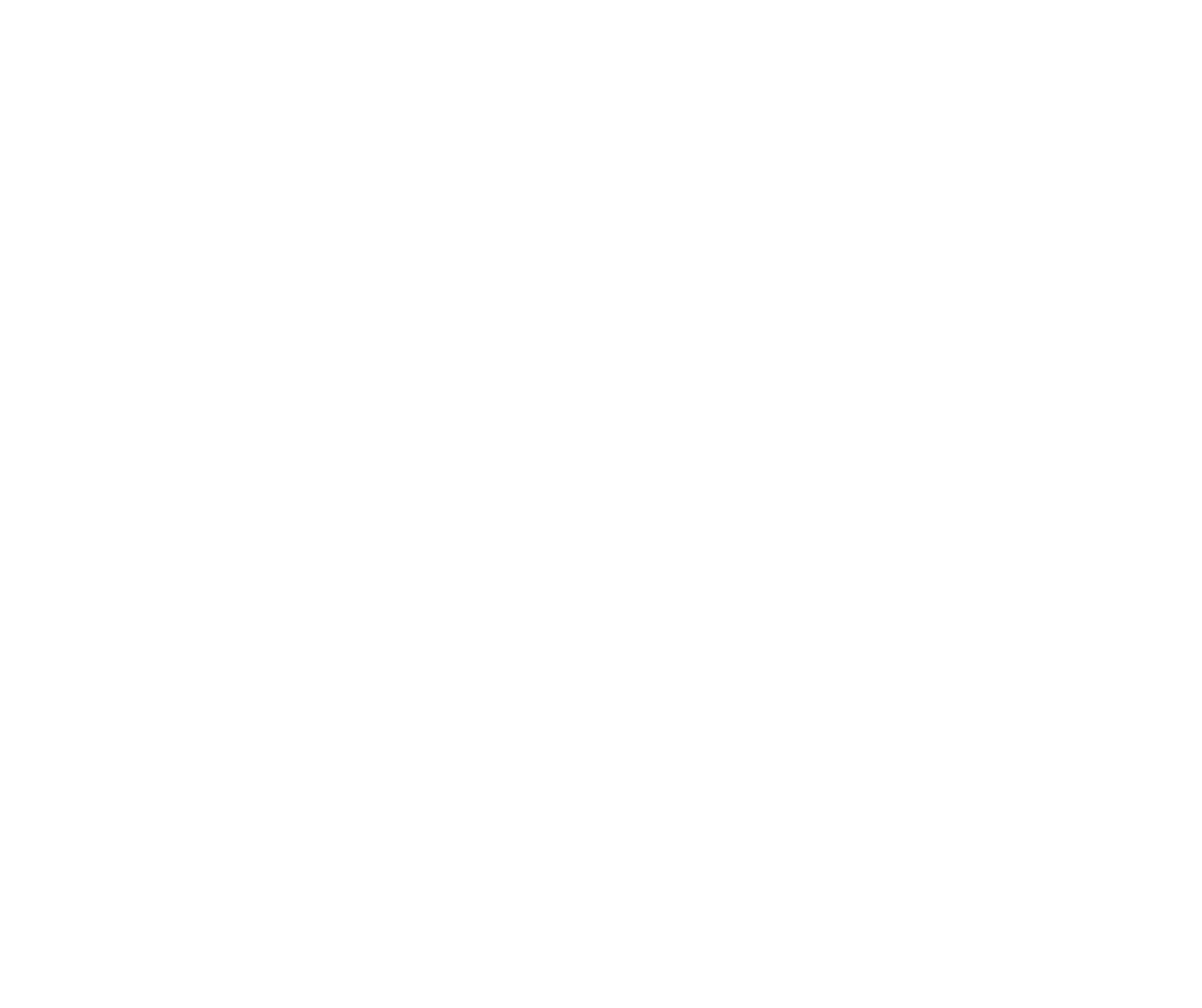 TENJAKU WHISKY PURE MALT