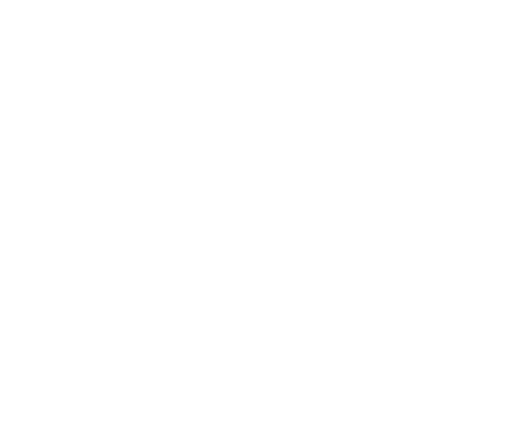 TENJAKU WHISKY